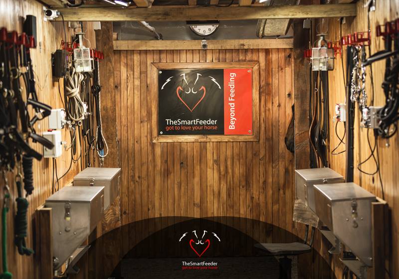 tsf barn